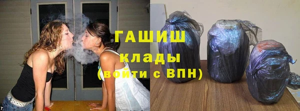 стаф Дмитриев