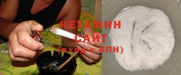стаф Дмитриев