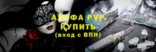 стаф Дмитриев