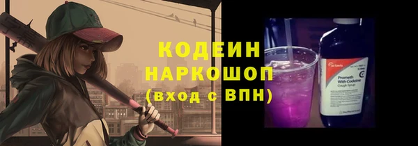 стаф Дмитриев