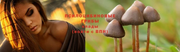 мескалин Михайловск