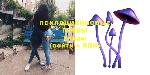 герыч Дмитровск