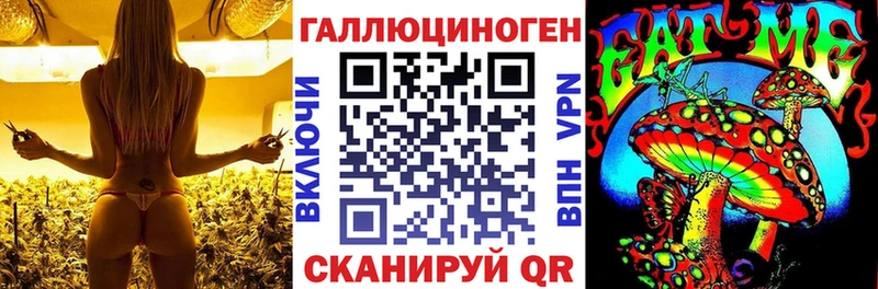 сайты даркнета официальный сайт  Можайск  Псилоцибиновые грибы прущие грибы 
