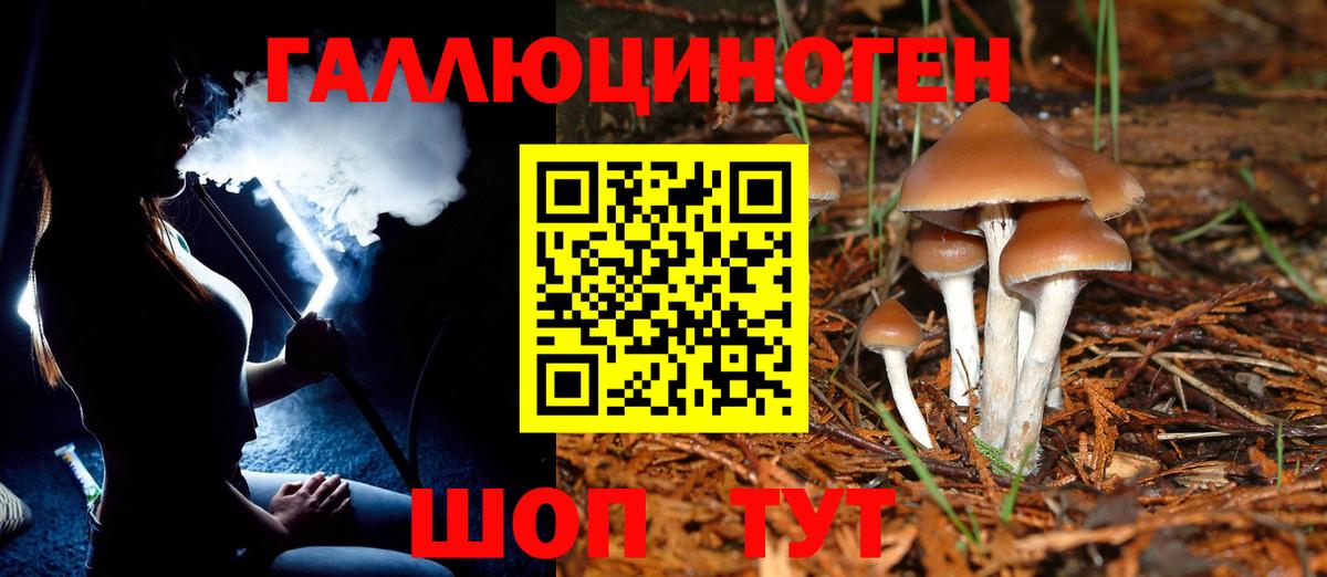 Галлюциногенные грибы мухоморы Можайск
