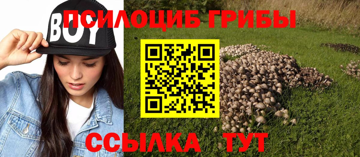 Можайск  Alpha-PVP СОЛЬ кристаллы  Мефедрон кристаллы  Гашиш  Бошки Шишки  Cocaine  МЕТ 