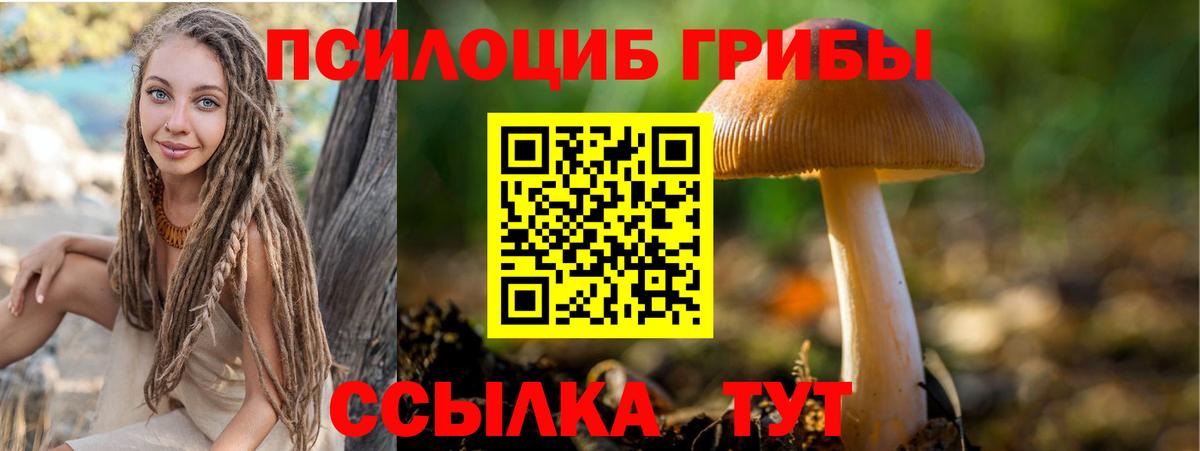Можайск  Псилоцибиновые грибы мухоморы  Вход с VPN 